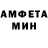 Конопля гибрид Amina kotik