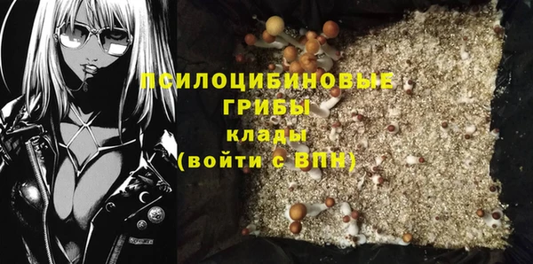 прущие крисы Вязники