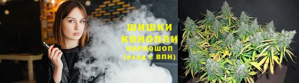 крисы Горно-Алтайск