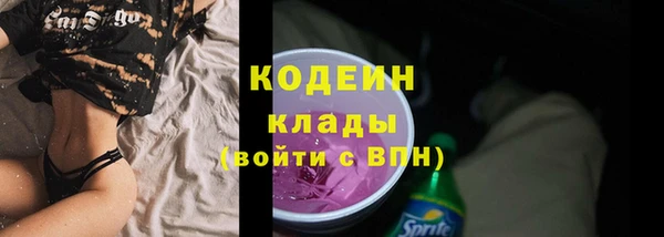 mdpv Вяземский