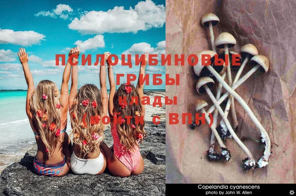 прущий лед Вязьма