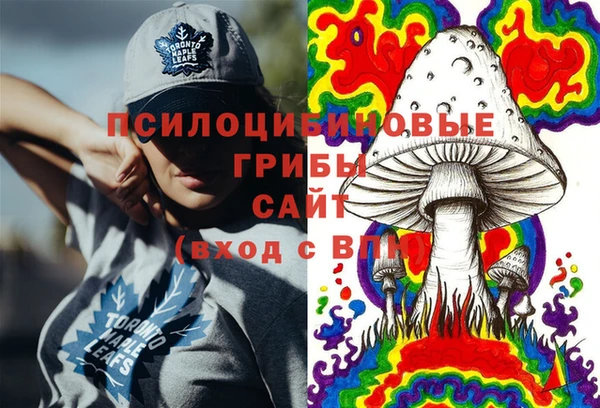 крисы Горно-Алтайск