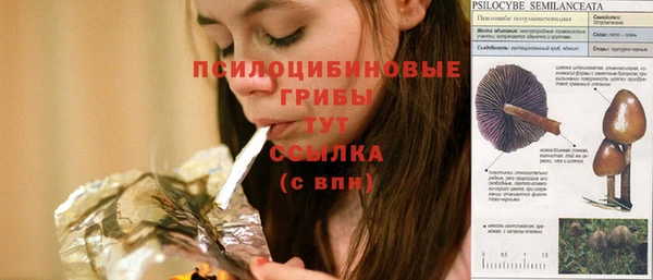 мдма Горняк