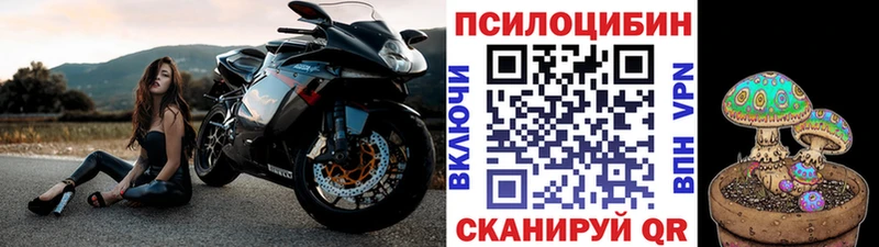 Псилоцибиновые грибы прущие грибы  Данилов 